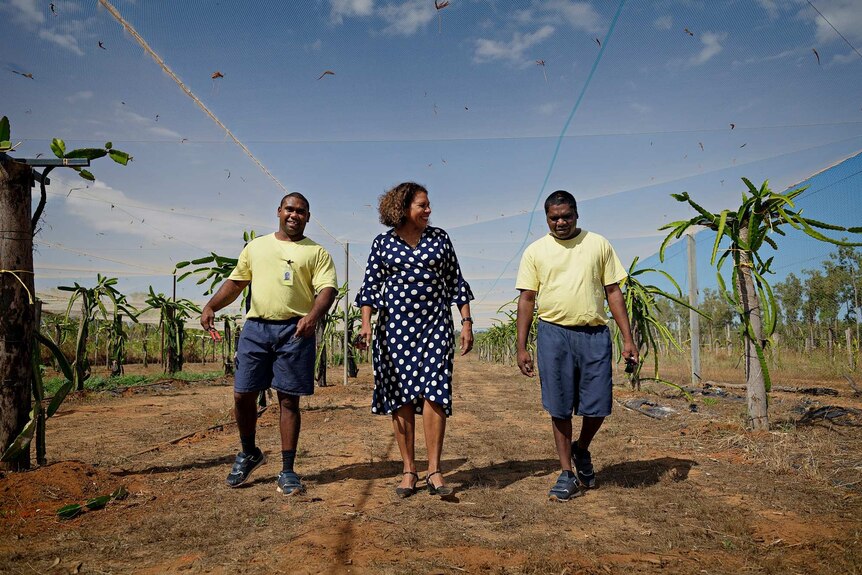 Leanne Liddle smiles as she walks through a field of dragon fruit plants with two male inmates.