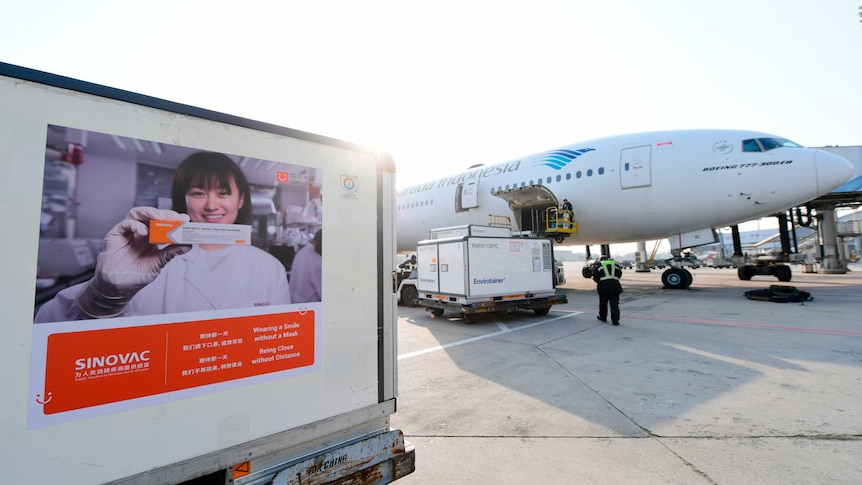 Una scatola piena di vaccini cinesi in un aeroporto indonesiano