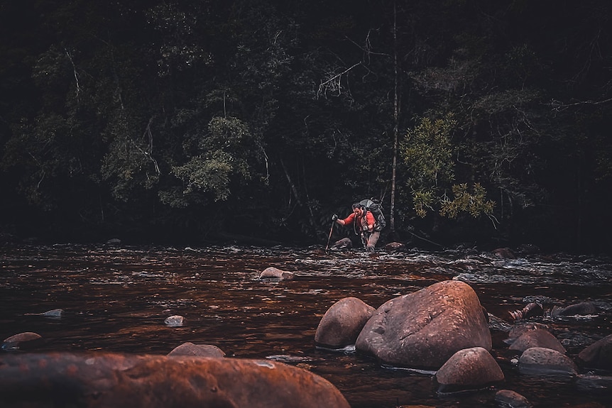 A man crosses a river, in foreground are medium sized river rocks, he is in the background