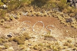 SOS sign picked out in rocks on scrubby ground.