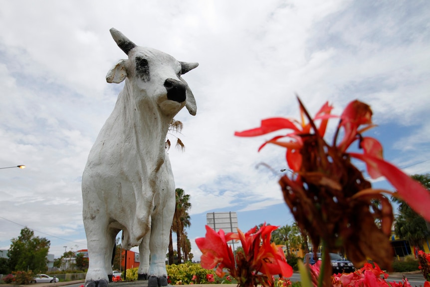 Rockhampton bull statue