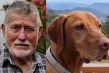 A composite image of a man with a white beard wearing a flannel shirt and a tan-coloured dog