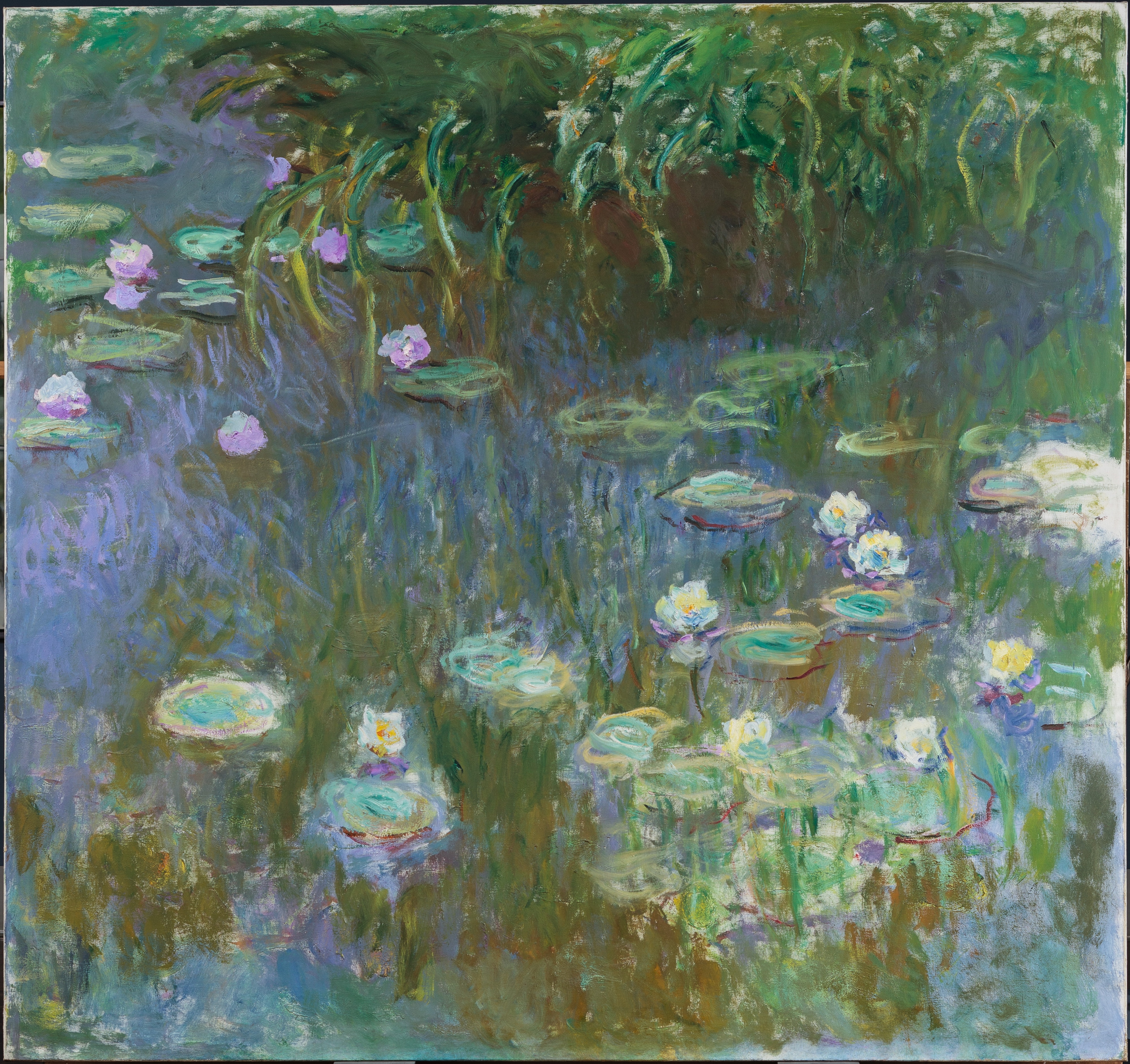 A famous oil painting of water lillies in a pond by Claude Monet. They are small green lily pads with pink and white flowers