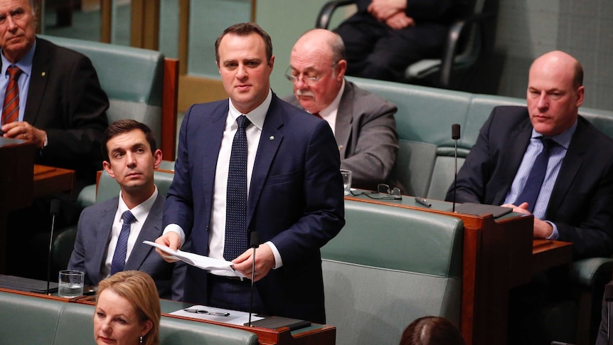 Liberal Tim Wilson asking a question in question time