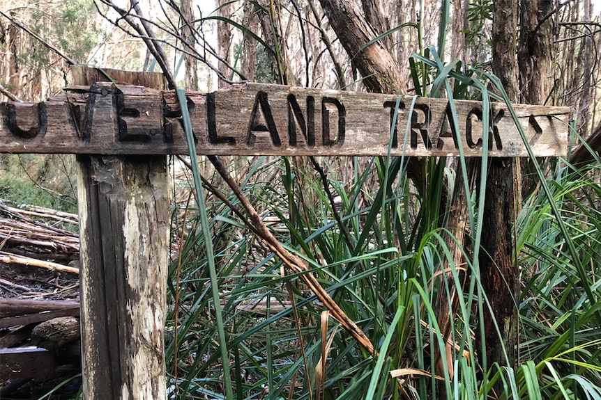 A worn down wooden sign among grasses in the bush reads 'Overland Track'