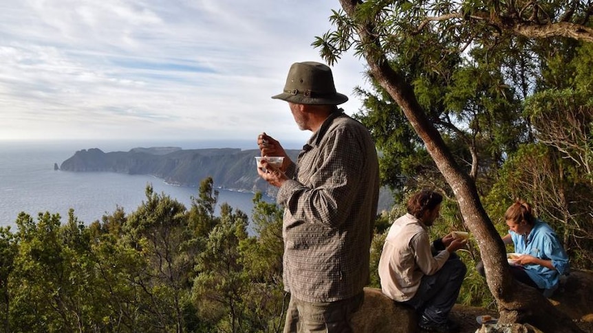 A bushwalker on the Three Capes Track in Tasmania looks out at the bush view from the top of Mount Fortescue while drinking tea.