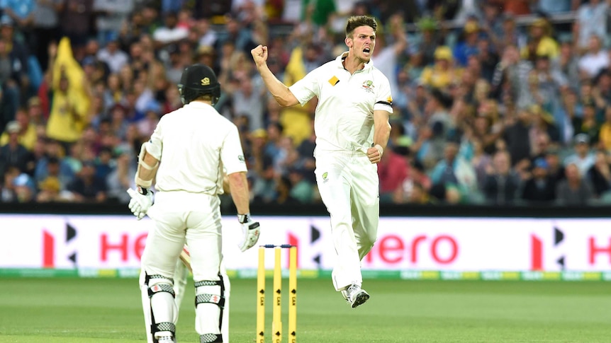 Mitch Marsh jumps in the air to celebrate wicket