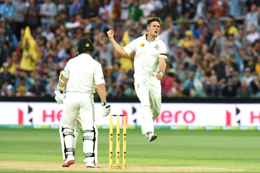 Mitch Marsh jumps in the air to celebrate wicket
