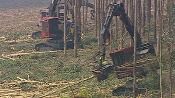 Plantation timber in the south west could be returned to agricultural land.