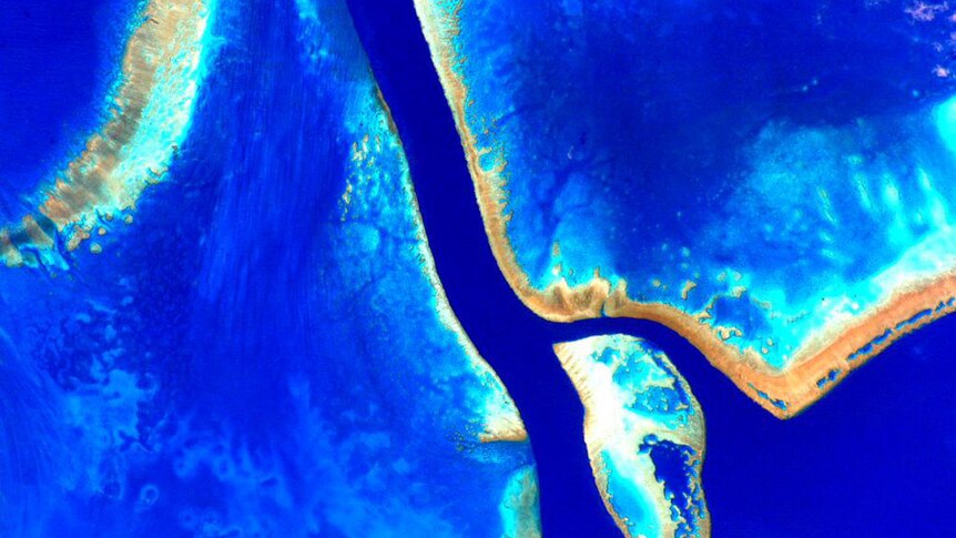 A vibrant colour-enhanced photo the Great Barrier Reef taken from space by astronaut Scott Kelly.