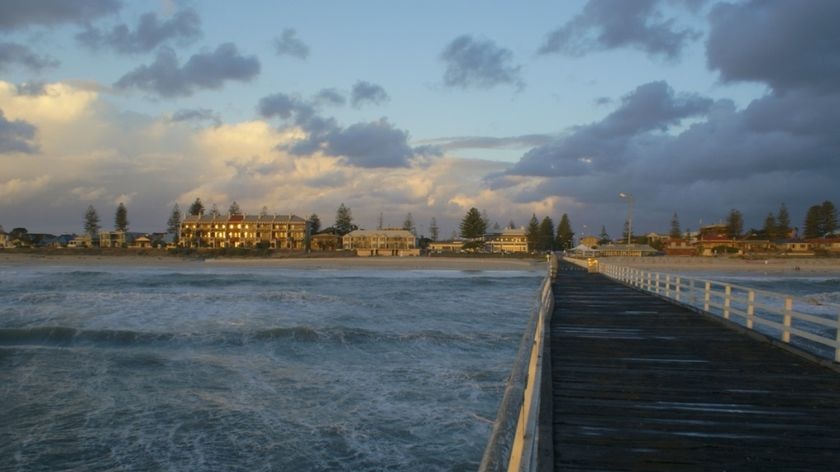 More sharks have been sighted off Adelaide beaches