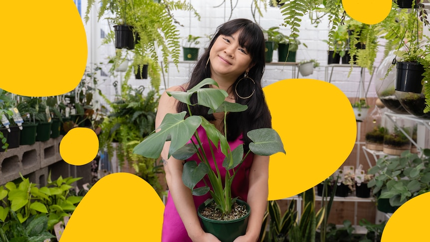 Han in her Melbourne greenhouse, holding a monstera deliciosa.