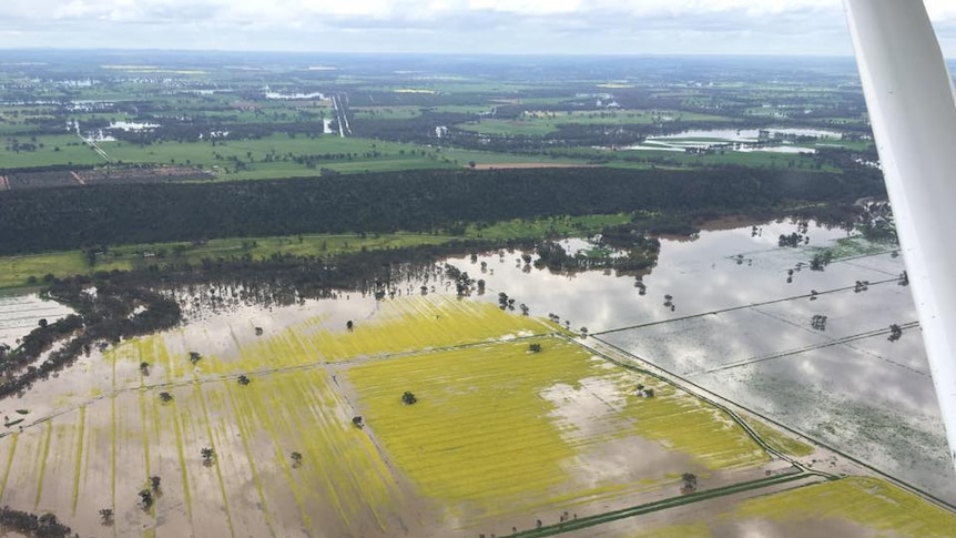 Aerial shot of floodwaters with yellow canola crops inundated