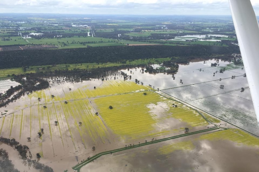 Aerial shot of floodwaters with yellow canola crops inundated