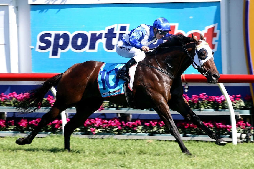 Mrs Onassis wins Oakleigh Plate