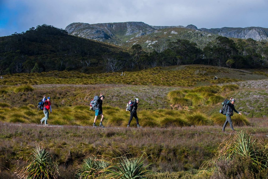 Hikers walk along the Overland Track.