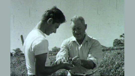 Italian man and son stand in field