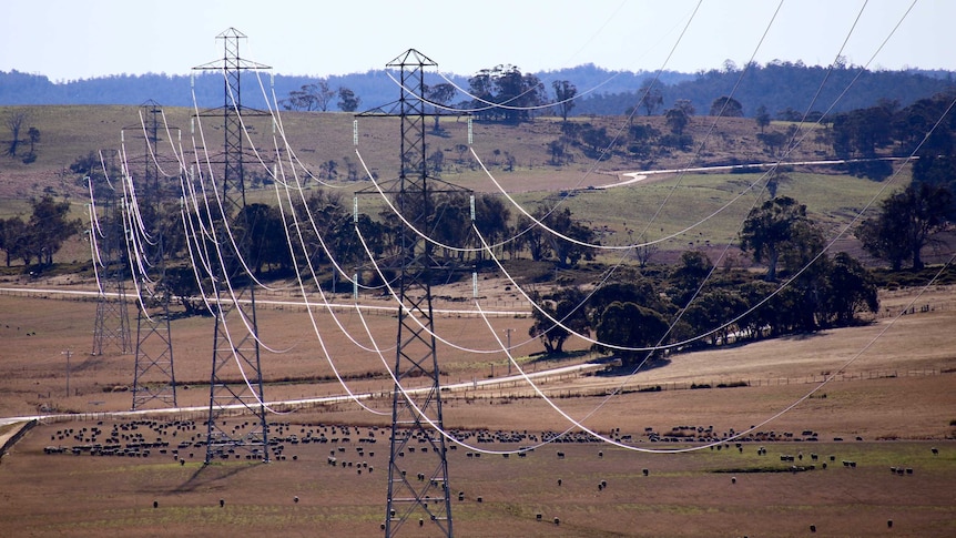 High voltage transmission towers in Tasmania.