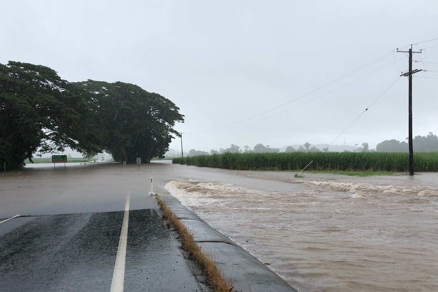 Floodwaters cover Foxton Bridge, north of Mossman.
