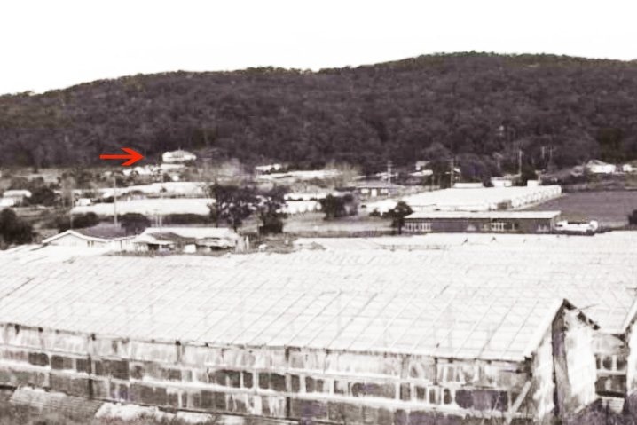 A black and white photo with a red arrow pointing out house