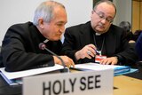 Holy See delegates to UN panel on child sex abuse