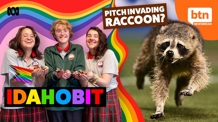 Three students smiling holding colourful items, alongside a raccoon with the words pitch invading raccoon.