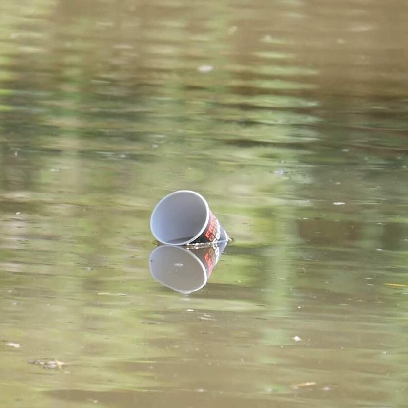A coffee cup floats in the water.