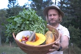 A man holds a basket with pumpkin, tomatoes and salad in it.