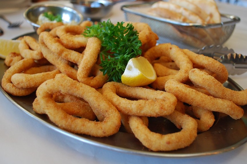 a plate of crumbed calamari rings