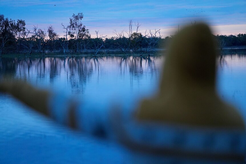 A man wearing a hoodie (pictured out of focus) stands next to a lake at dawn.