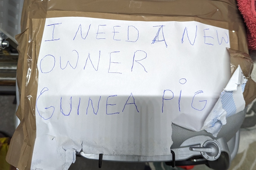 A sign written in blue pen that says 'I need a new owner'
