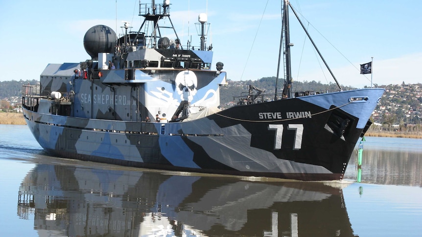 Sea Shepherd's Steve Irwin returns to the water