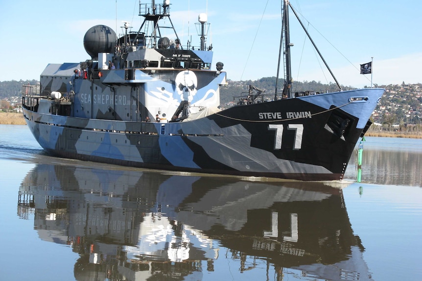 Sea Shepherd's Steve Irwin returns to the water