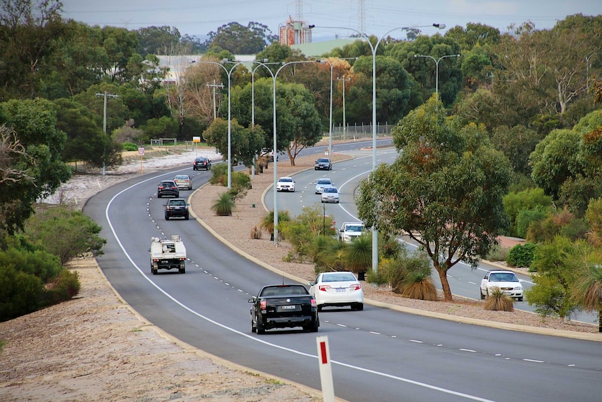 A dual carriageway road with moderate traffic surrounded by bush
