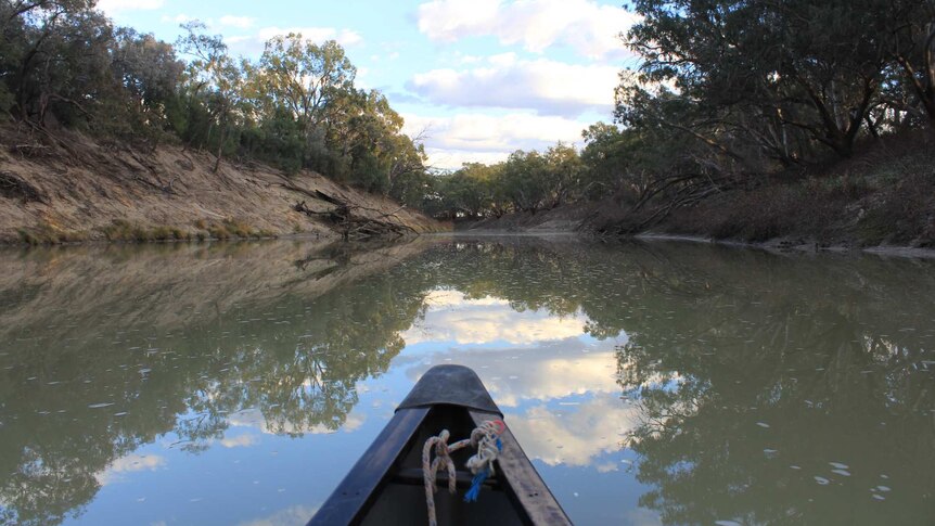 The tip of a canoe in foreground with a brown river and banks in background.