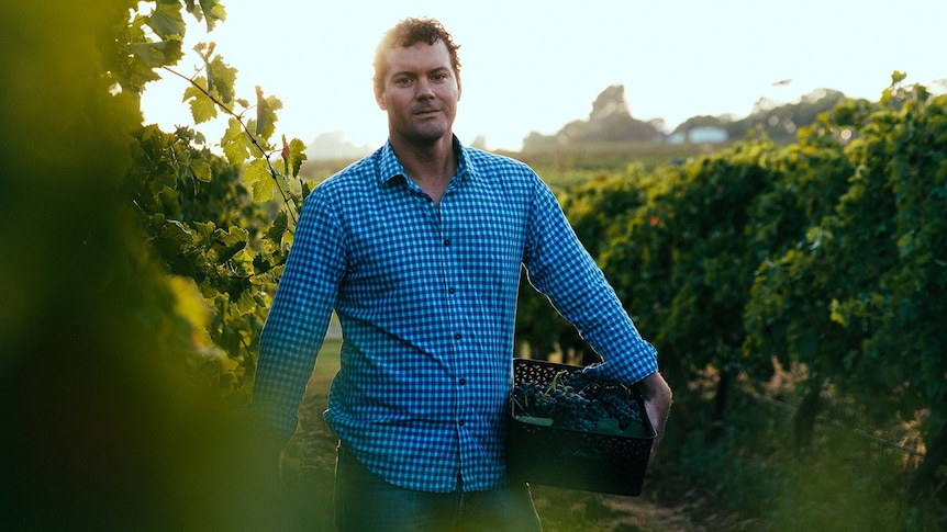 A man stands in a vineyard under dappled sunlight