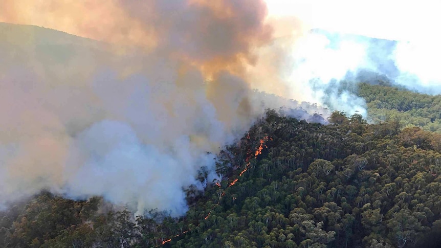 Fire on a hill near St Helens