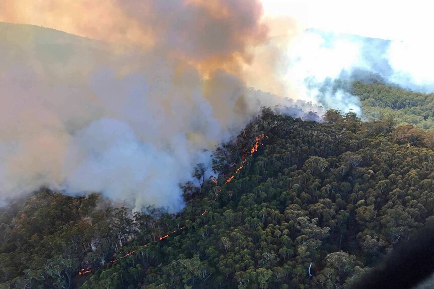 Fire on a hill near St Helens