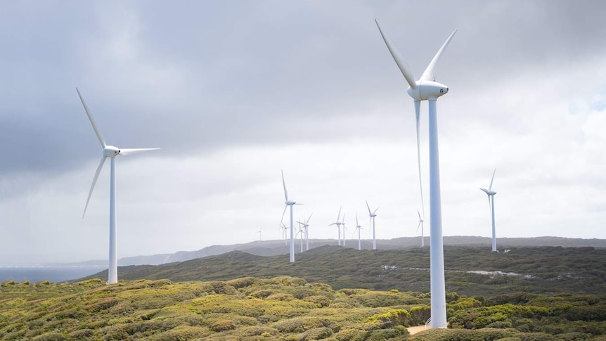 Fortescue Future Industries d’Andrew Forrest affirme que les résidents se sont inscrits au projet Esperance