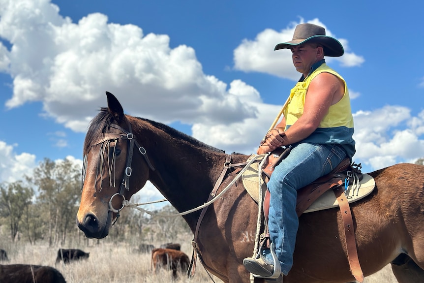 A man sits on a brown horse.