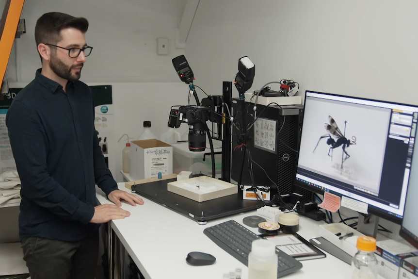 Dr.  Lessard next to camera and computer with insect on the screen