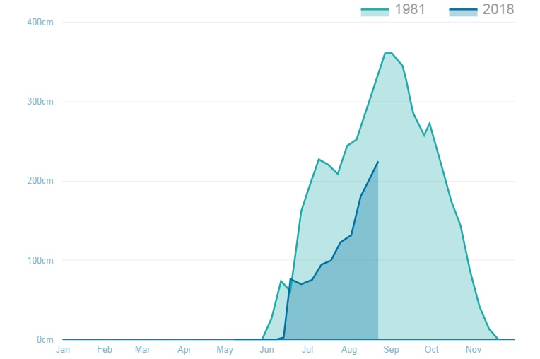 Line graph showing 1981 snow depths at Spencers Creek. 1981 depth significantly higher than 2018