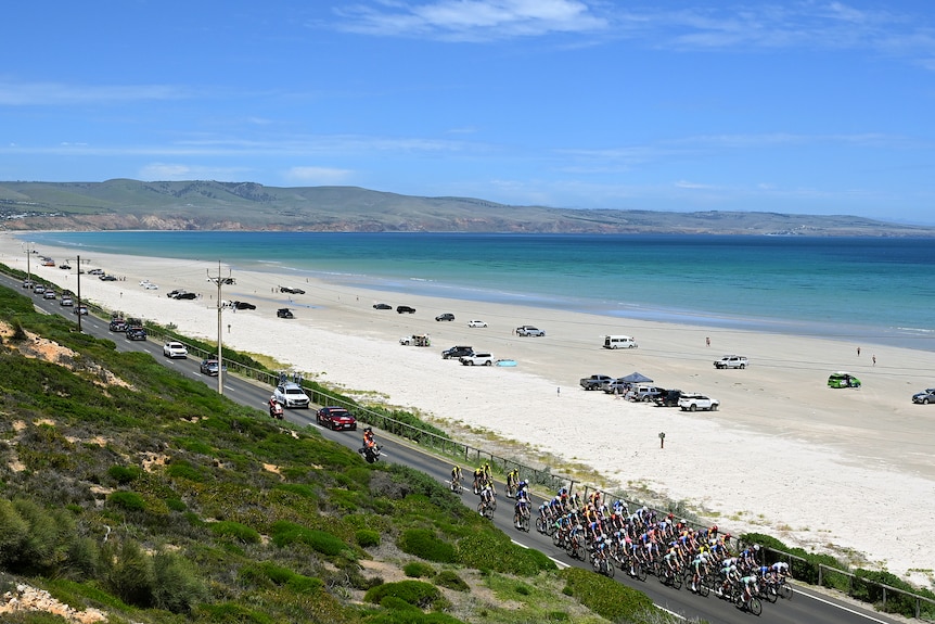 A large group of cyclists ride on the road past Aldinga Beach