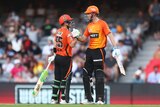 Schorchers batsmen Josh Inglis and Kurtis Patterson congratulate each other during BBL match against Sydney Sixers
