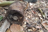 Darwin man Jeff Tinsley called police after finding this unexploded explosive while renovating his backyard