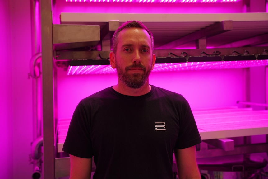 A man in a t-shirt in a room with pink lights