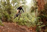 Mountain biker on a track in Northern Tasmania.