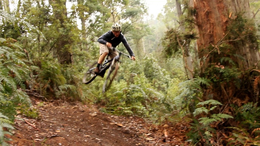 Mountain biker on a track in Northern Tasmania.
