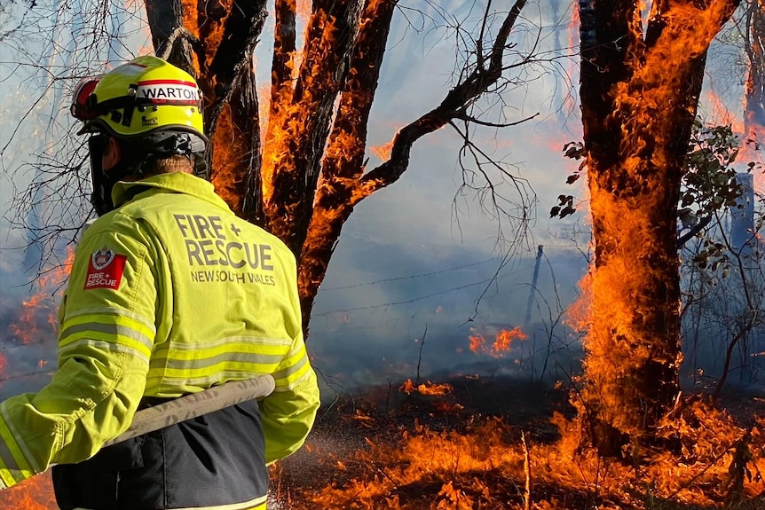 The back of a firefighter surrounded by trees burning