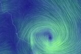 wind map visualisation of Tropical Cyclone Marcia